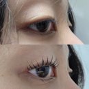 아인뷰티랩 눈썹&속눈썹펌 마곡점 | 쌍촌동속눈썹 [아인뷰티랩 광주점] 자극없는 속눈썹펌 맛집