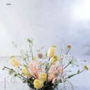 플로아트 이미지