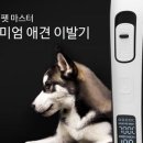 반려견 셀프미용 이미지