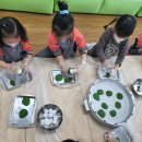 사랑가득한유치원 이미지