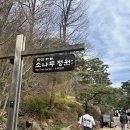 가을 숲으로 가자 | [정원후기] 4월 중순 화담숲 광주/경기