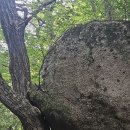 문희농장 이미지