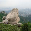 복두꺼비 이미지