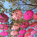 라이브노래방 이미지