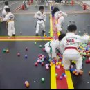 태권도활천도장 이미지