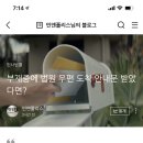 샌드데이 네이버블로그