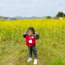 가톨릭소화어린이집 이미지