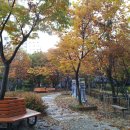 가을밤농원