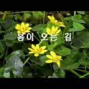 수련 싹트는거 첨 봅니다^^♡ 이미지