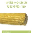 오오엔
