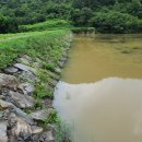 한평소류지 이미지