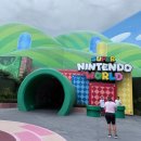 펫츠월드 | LA·칸쿤 신혼여행 5일차 ✈️| 유니버셜 스튜디오 할리우드 완전정복(+동선 포함)