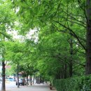 덕포농장 이미지