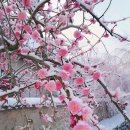 효령로 59-7 이미지