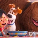The secret life of pets 2 이미지