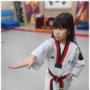 삼각태권도 이미지
