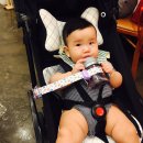 주식회사 조일팜 | 치발기홀더 리틀핑거 그로미미 빨대컵홀더로 딱이네요