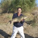 허벌라개 이미지