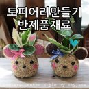 미양초교병설유치원 이미지