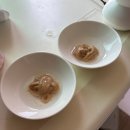 선닥터인공수정소 | 매일 주는 고양이 츄르, 진짜 괜찮을까? | 인기 액상간식 5종 성분 분석 + 깐깐냥 별점