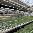 경기꽃화훼 이미지