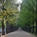 프로방스제과점 이미지