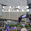 가야해요! 롯데타워와 석촌호수에서 펼쳐지는 역대급 포켓몬 체험(메타몽 프로젝트 완.전.정.복 후기!)