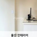 쉬크폭스