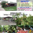 곰마을민박 이미지