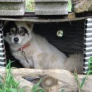 하늘솔황토민박 이미지