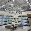 도로시 펫 이미지