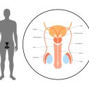 고비뇨기과의원 이미지