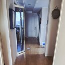 별빛하우스 이미지