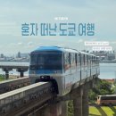 활주로여행사주 | 혼자 도쿄여행 #1. 에어로케이 청주-하네다 밤 비행기 밤샘 도전!!