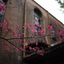 아트팩토리 봄 이미지