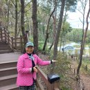 [소금산 그랜드밸리 하늘정원] 이미지