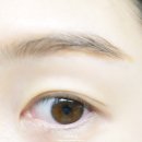 그레이스온누리약국 | 졸렌 크림 블리치 마일드 사용 후기! 졸렌 크림으로 눈썹 염색했어요. 졸렌 크림 내돈내산.