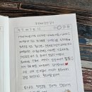점핑캣반구점