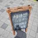 시아반 이미지