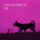 <독서모임온새미로>196회 정모후기 천 개의 파랑, 사람에 대한 예의, 소년과 개 왜 일본제국은 실패...