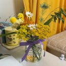 스타트라인 | 스타트업 디자이너의 첫 퇴사/이직 후기 | 퇴사 꿀팁, 타임라인, 4년 차 프로덕트 디자이너