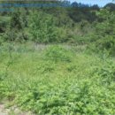 거문초동도분교장 이미지