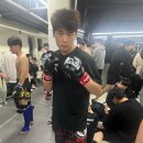 링 종합격투기 이미지