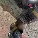 정곡상지 네이버블로그