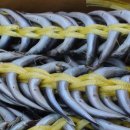 고향주유소 이미지