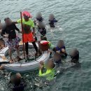 놀고팡 | 나트랑 럭셔리 호핑투어 추천 LUXTOPUS 다이빙쇼 스노클링 레이비치까지 완벽 코스