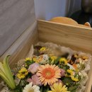 대술로 | 예산반려동물장례 위드엔젤에서 아름다운 이별