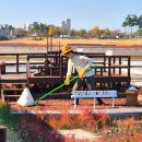 씨사이드파크 텐트캠핑장화장실 이미지