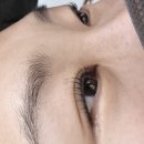 브로우캐쳐 네이버블로그