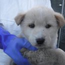 시흥상동로 이미지